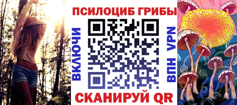 где продают Павлово Псилоцибиновые грибы Cubensis