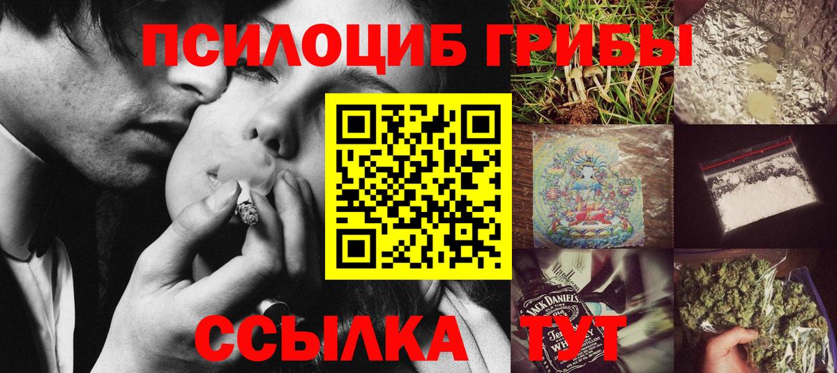 где продают   Вход с VPN  Павлово  Галлюциногенные грибы Psilocybine cubensis 